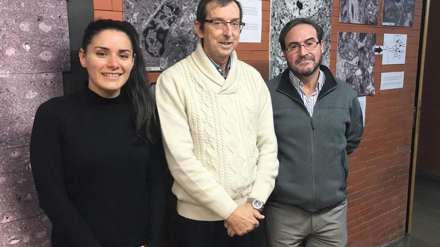 El neurobiólogo de la Universitat de València José Manuel García Verdugo, con parte de su equipo.