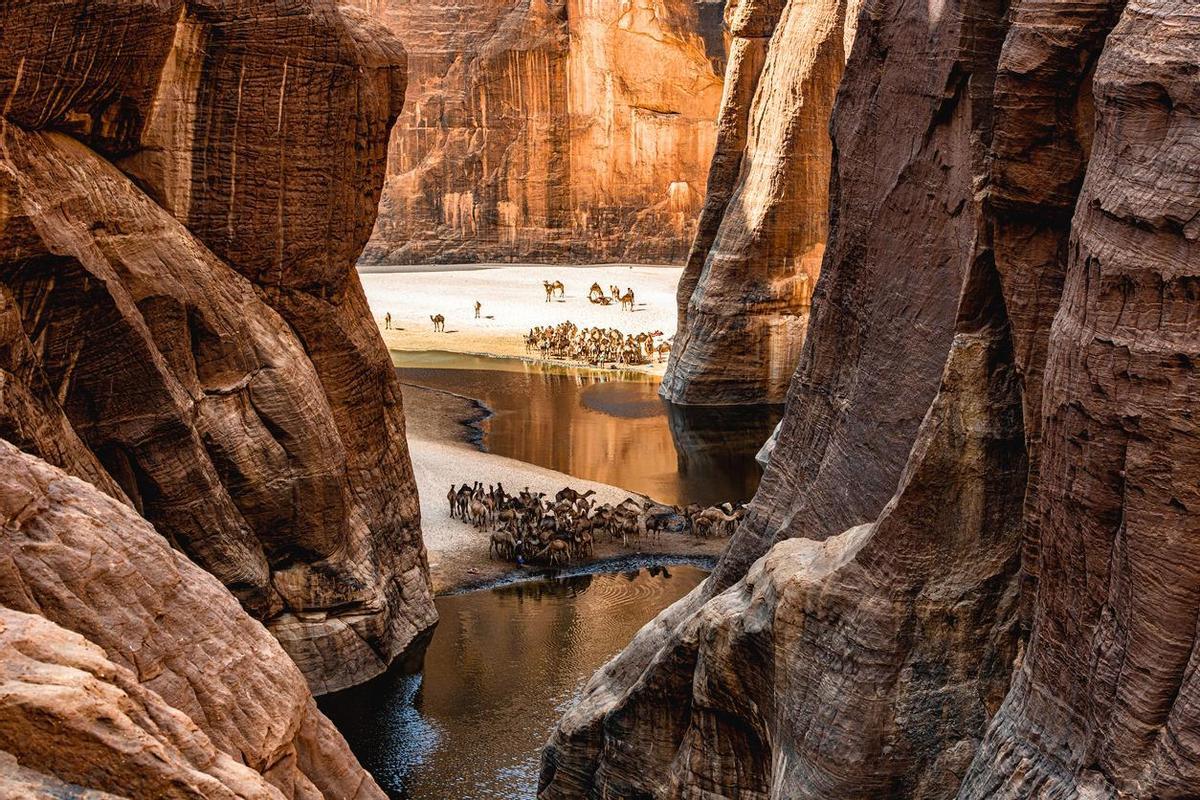Guelta d'Arche, macizo de Ennedi, Sahara, Chad