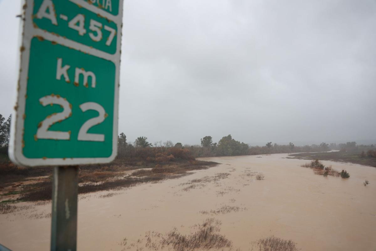 Imagen del río Guadalquivir a su paso por la localidad sevillana de Lora del Río.