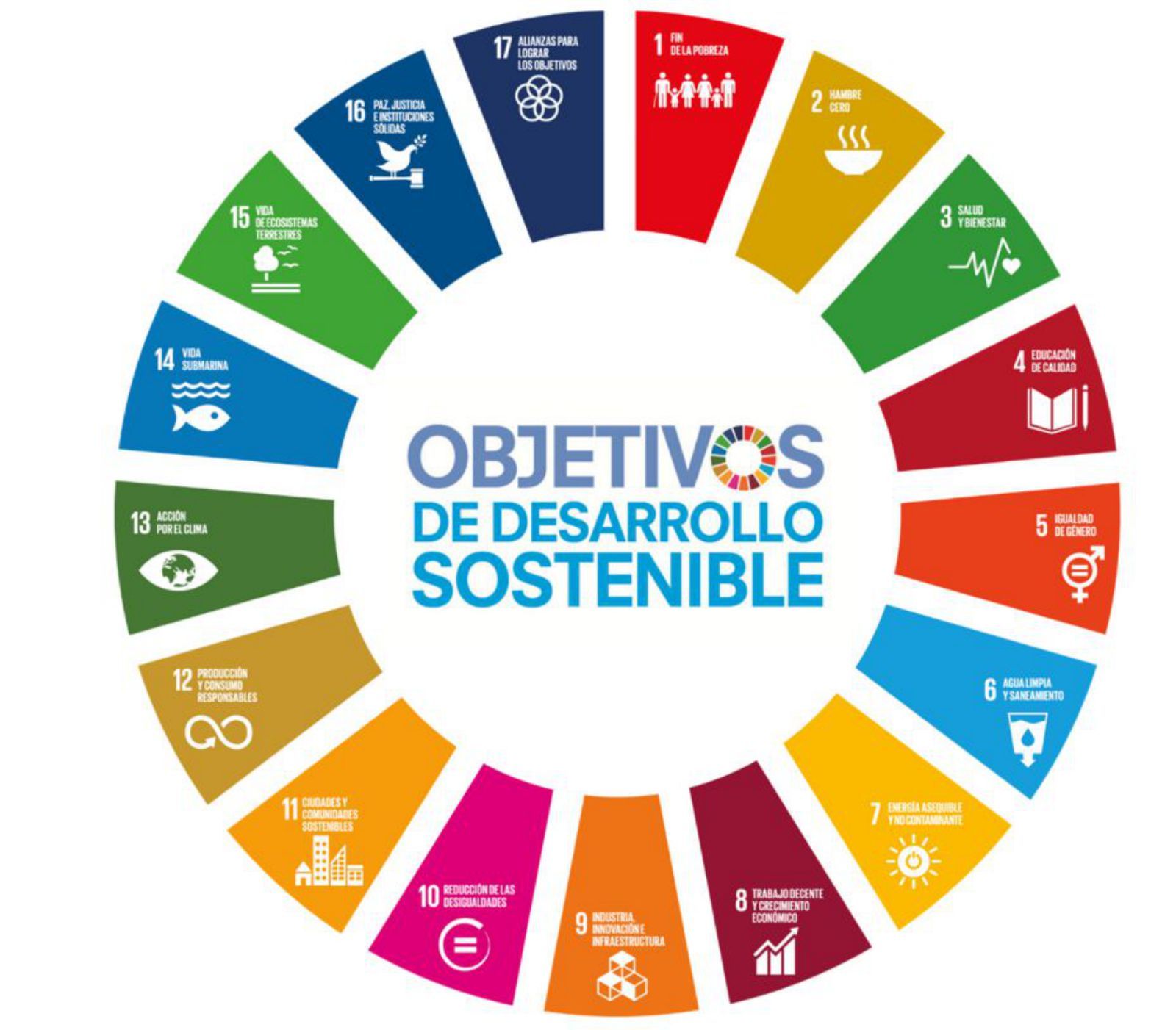Ilustración alusiva a los objetivos de desarrollo sostenible (ODS). 