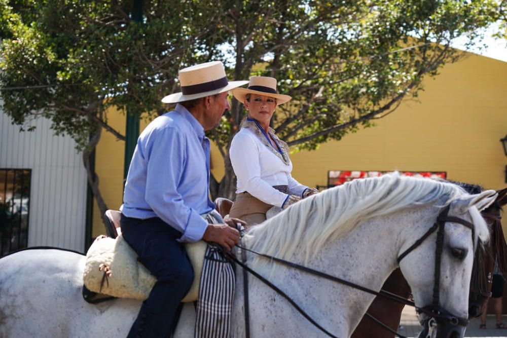 Primeros caballos en el Cortijo de Torres