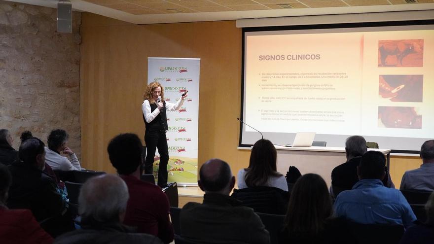 Los expertos urgen a los ganaderos zamoranos a tomar medidas ante la amenaza de la Dermatosis Nodular Contagiosa