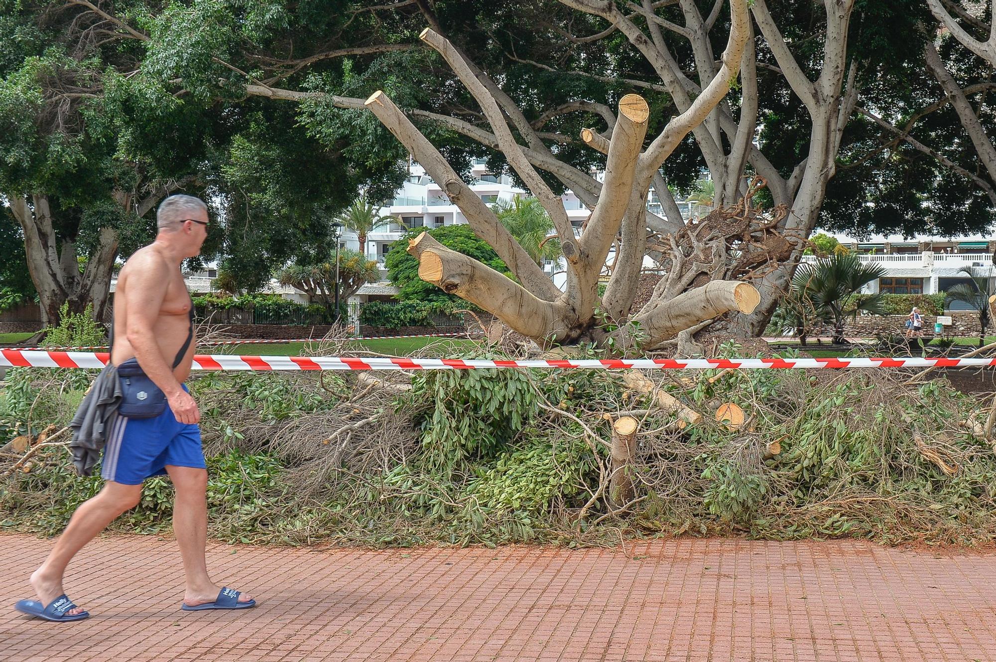 Dia después de la lluvia en Puerto Rico y Playa del Inglés