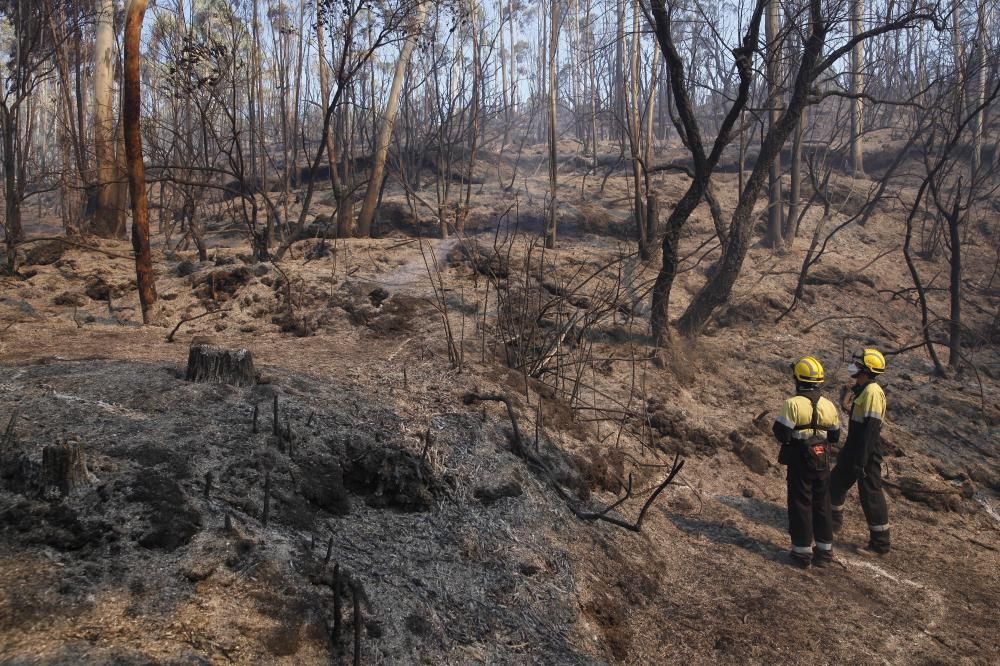 Incendi forestal a Blanes