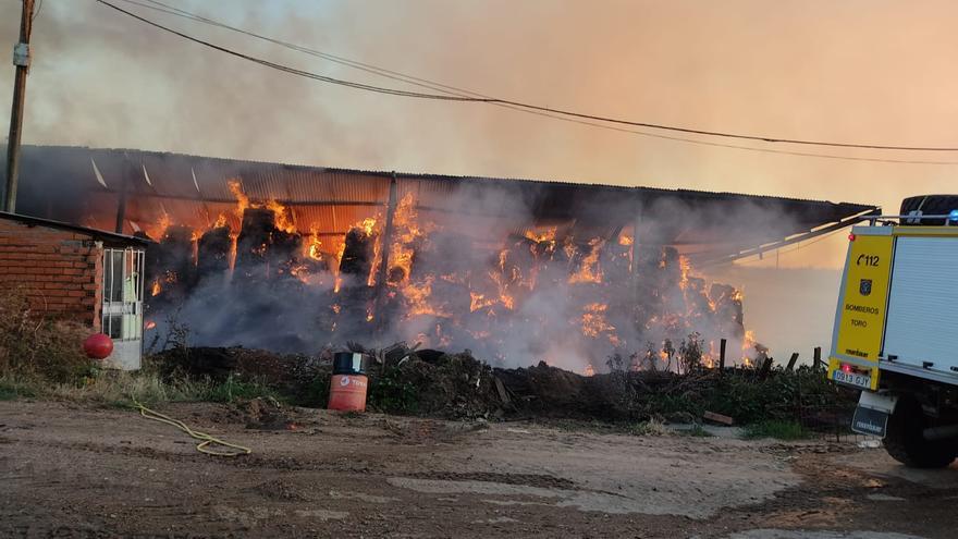 VÍDEO | Mil toneladas de forraje, arrasadas en un incendio en El Maderal