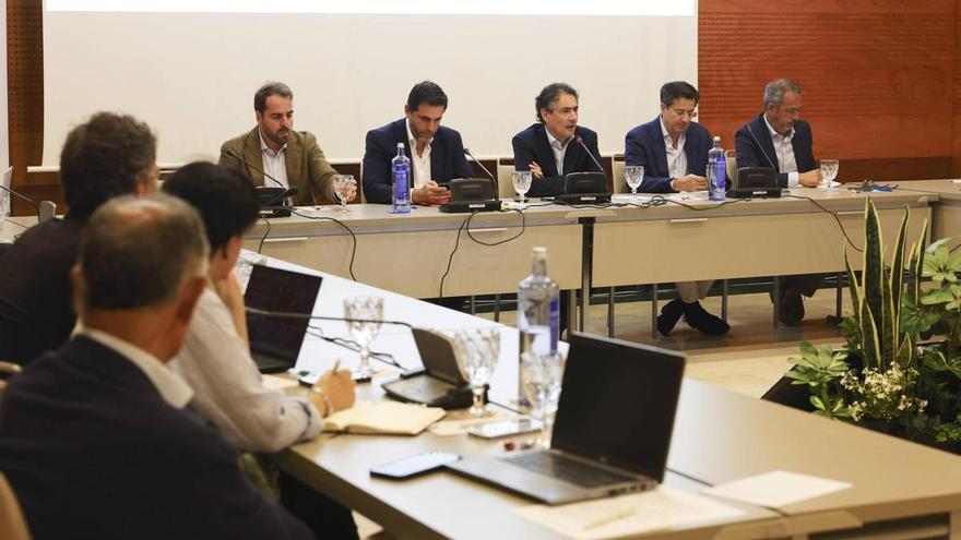 Las distribuidoras eléctricas lanzan una advertencia en La Granda: "En Asturias toda la red está colapsada"