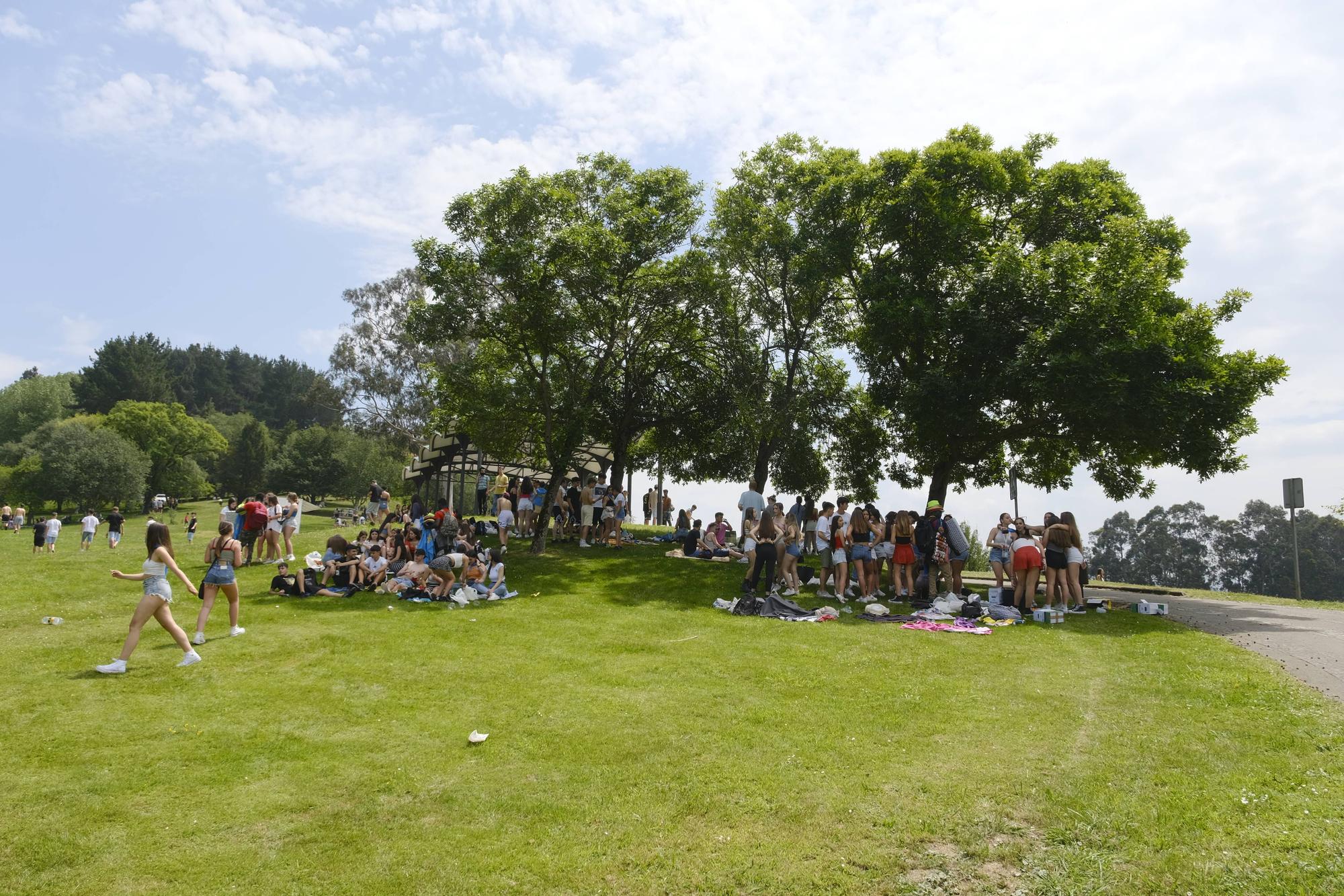 ¿Celebraste el Martes de Campo fuera del parque San Francisco? ¡Búscate!