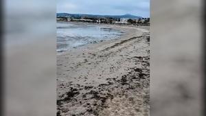 Imagen de la retirada del mar en la costa de Xàbia