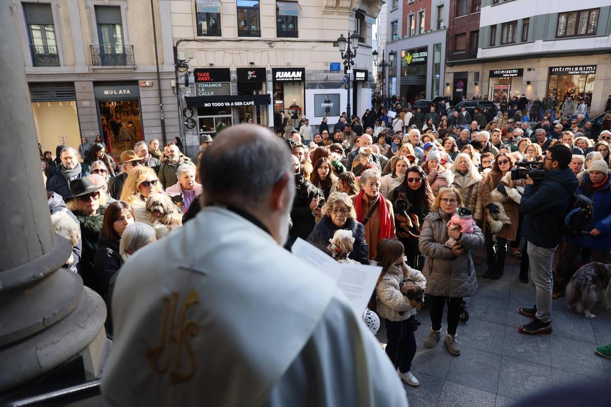 EN IMÁGENES: Oviedo bendice a sus mascotas por San Antón