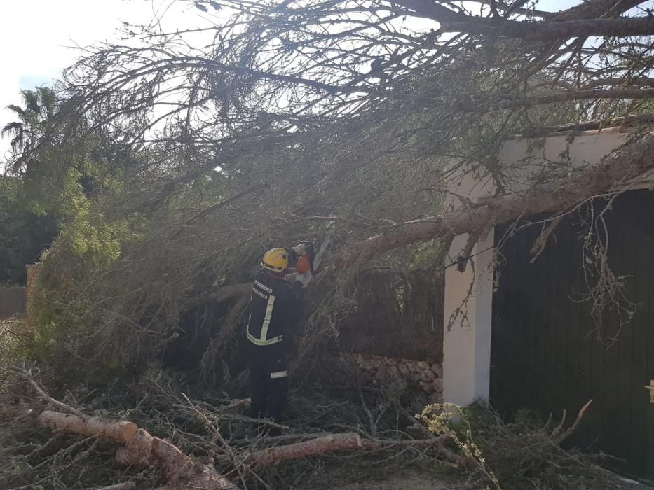 Trabajos en las zonas más afectadas por la tormenta en Baleares