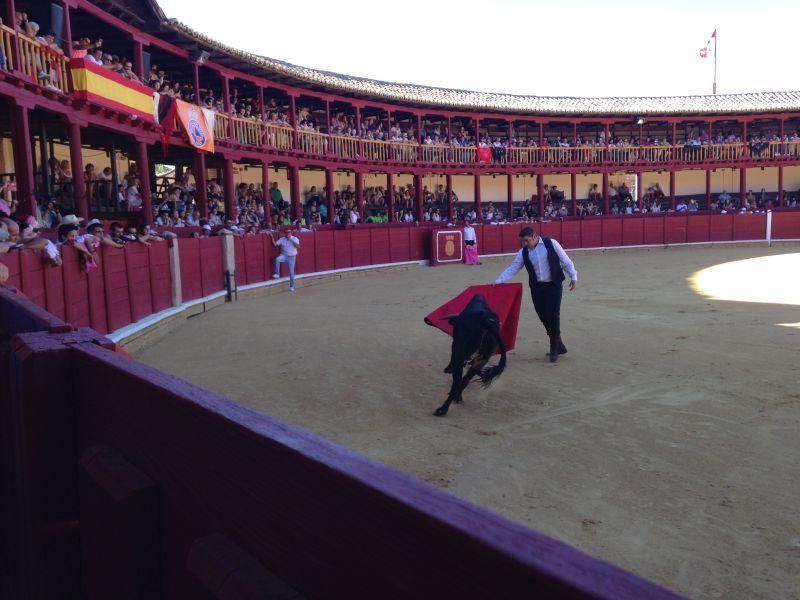 Fiestas en Toro | Becerrada de las peñas