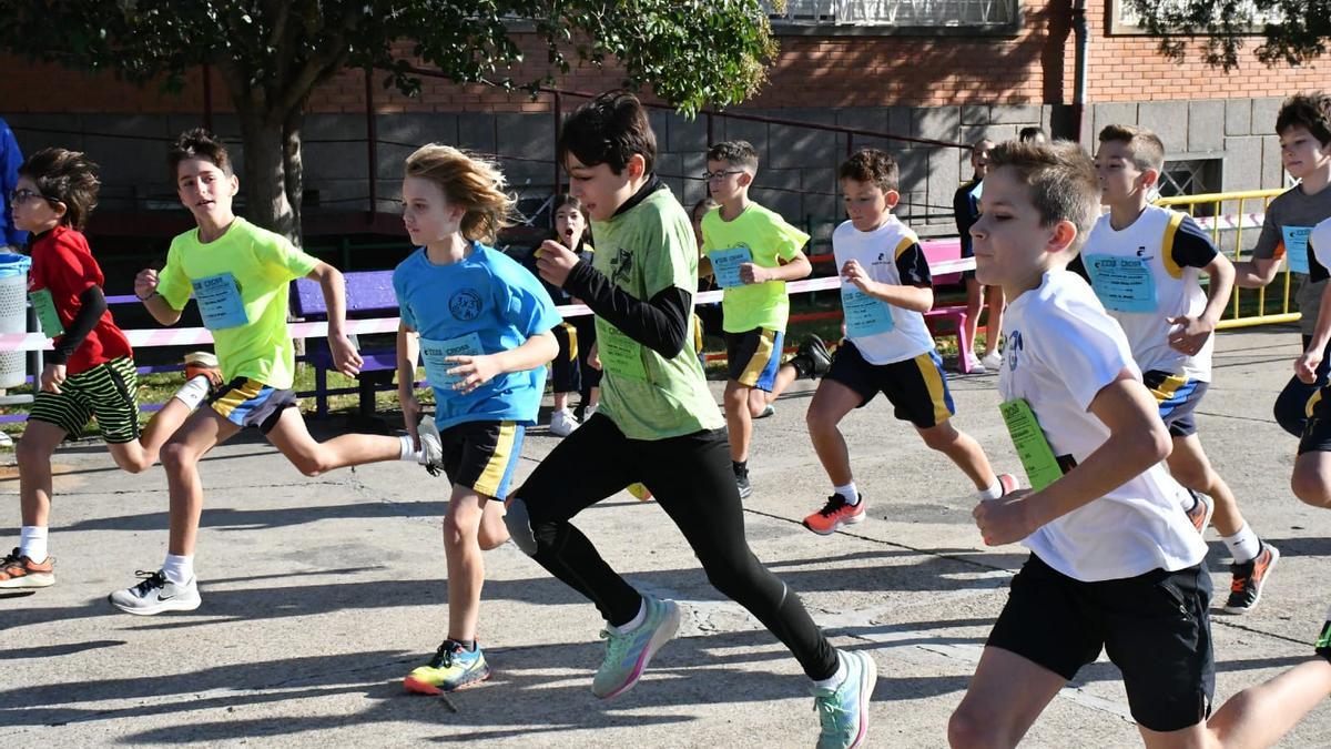 Participantes en la 32ª edición del cross escolar del Colegio Condes de Aragón de Zaragoza.