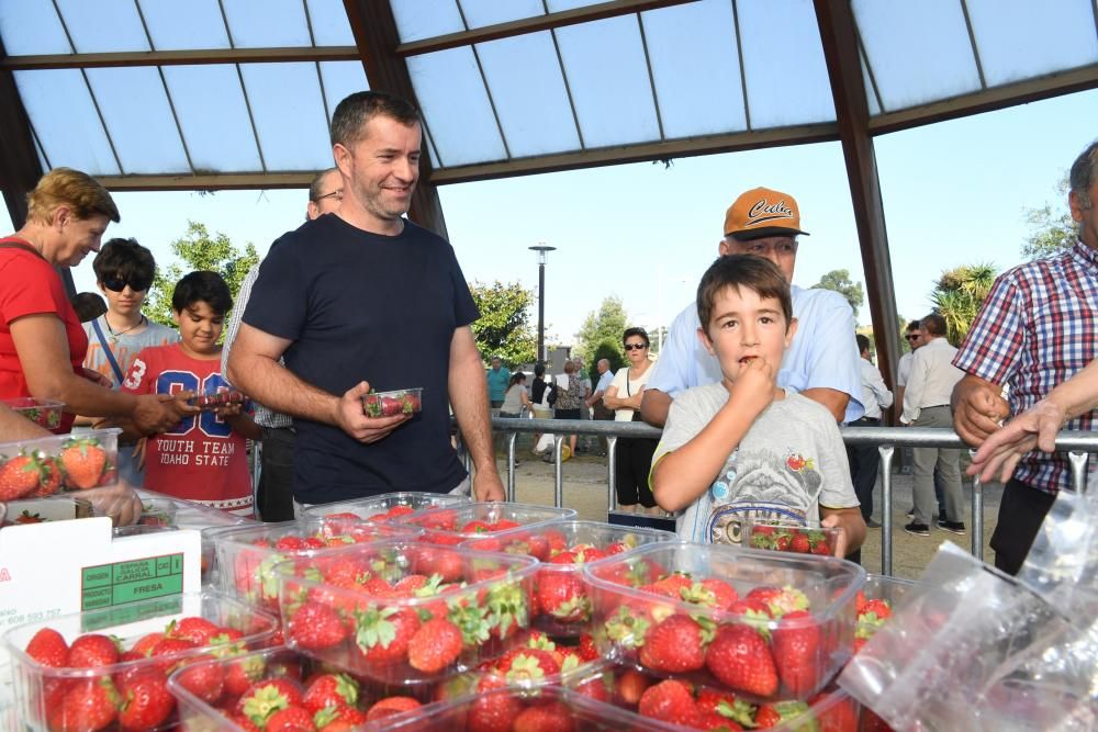 Colas para tomar fresas en las Fiestas de Eirís