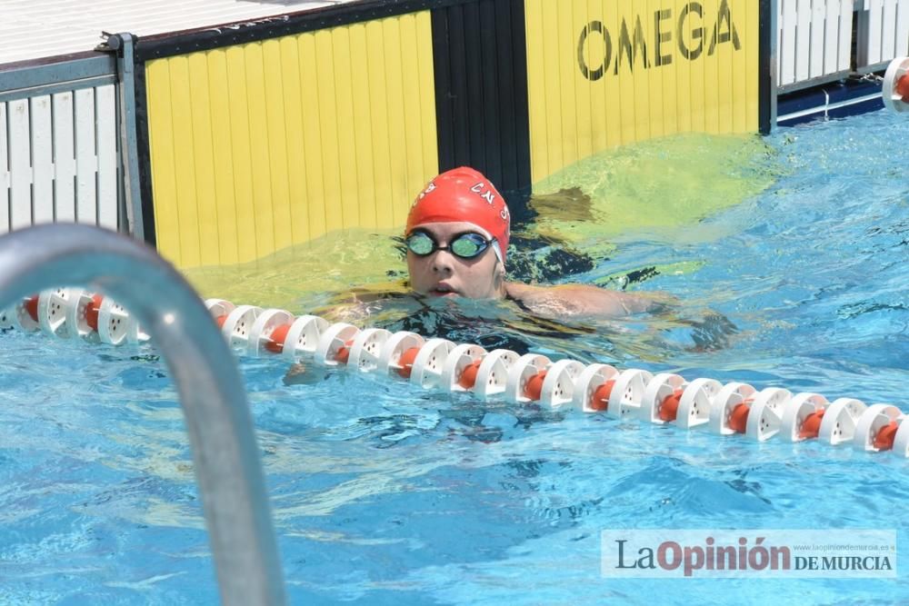 Final del Campeonato regional de natación.