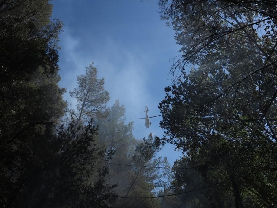 Waldbrand bei Puigpunyent