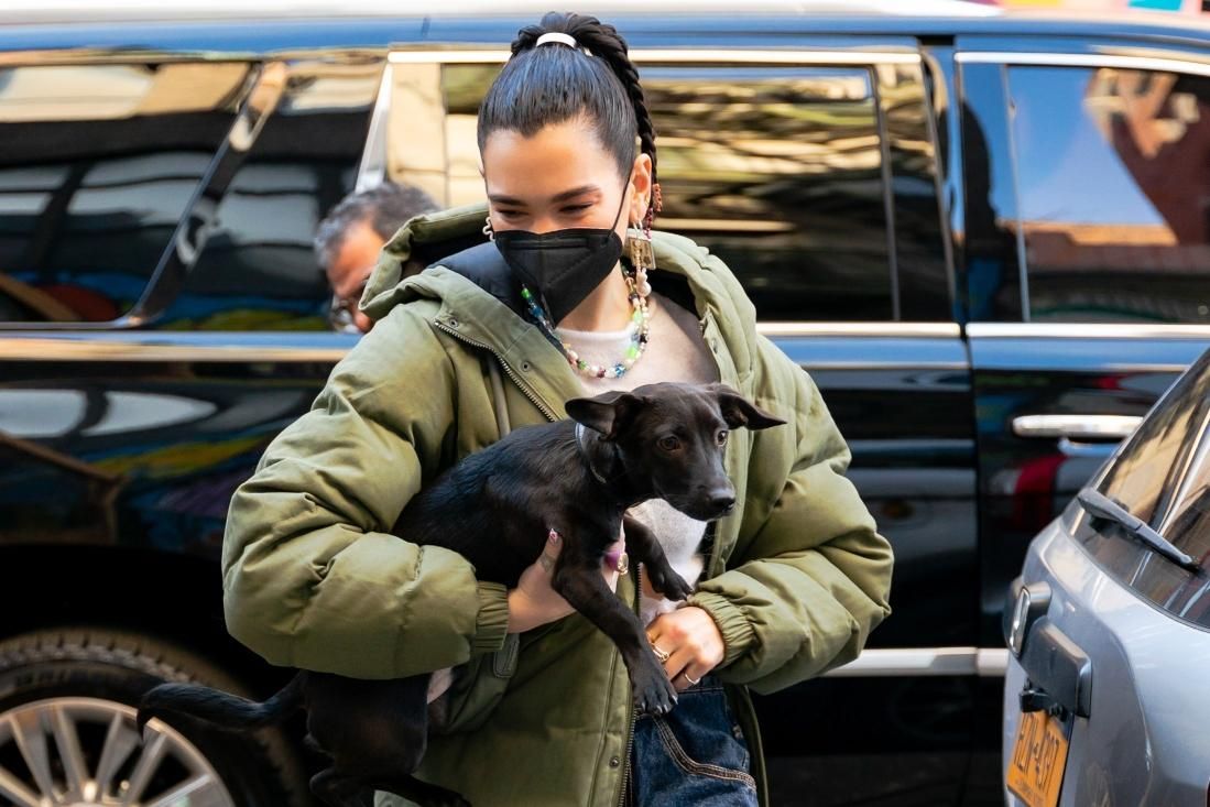 Dua Lipa con coleta llena de trenzas