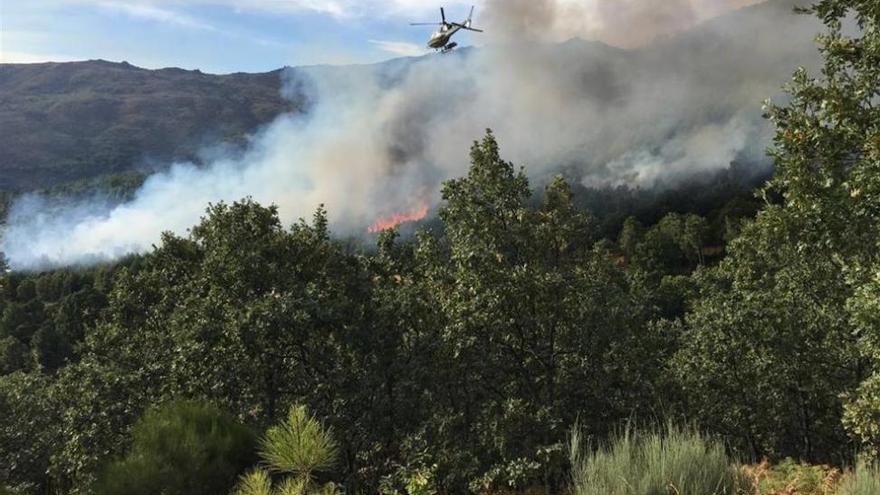 Agricultura envía medios aéreos para la extinción de un incendio en Garciaz
