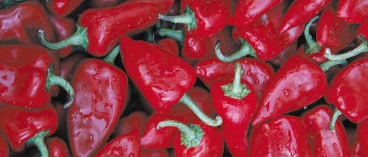 Pimientos de piquillo.