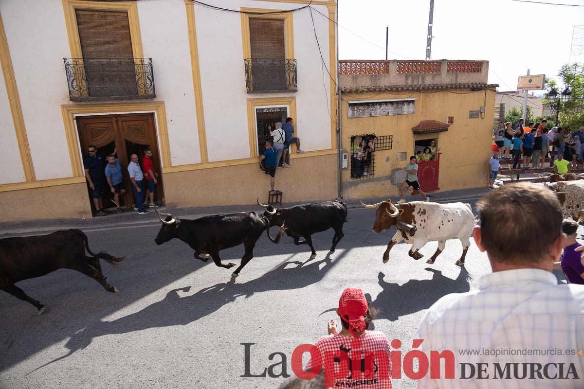 Quinto encierro Moratalla