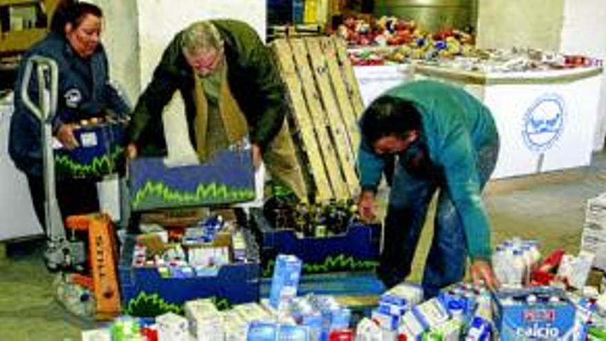 Una campaña solidaria con 35 voluntarios recogerá alimentos