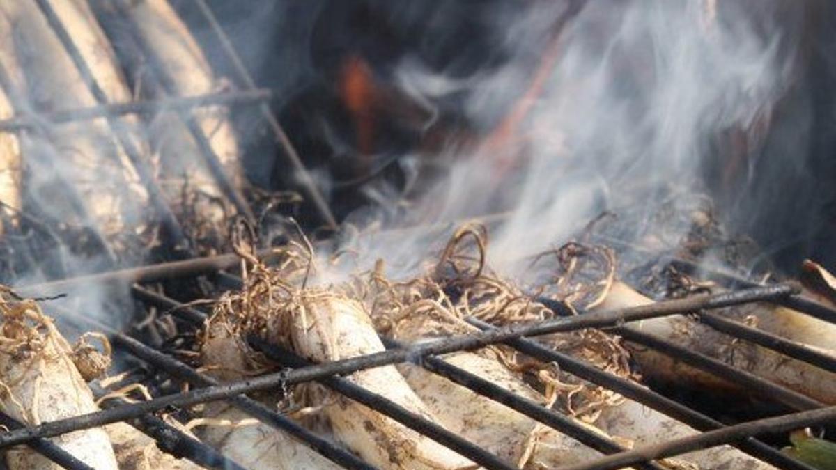 'Calçots'.