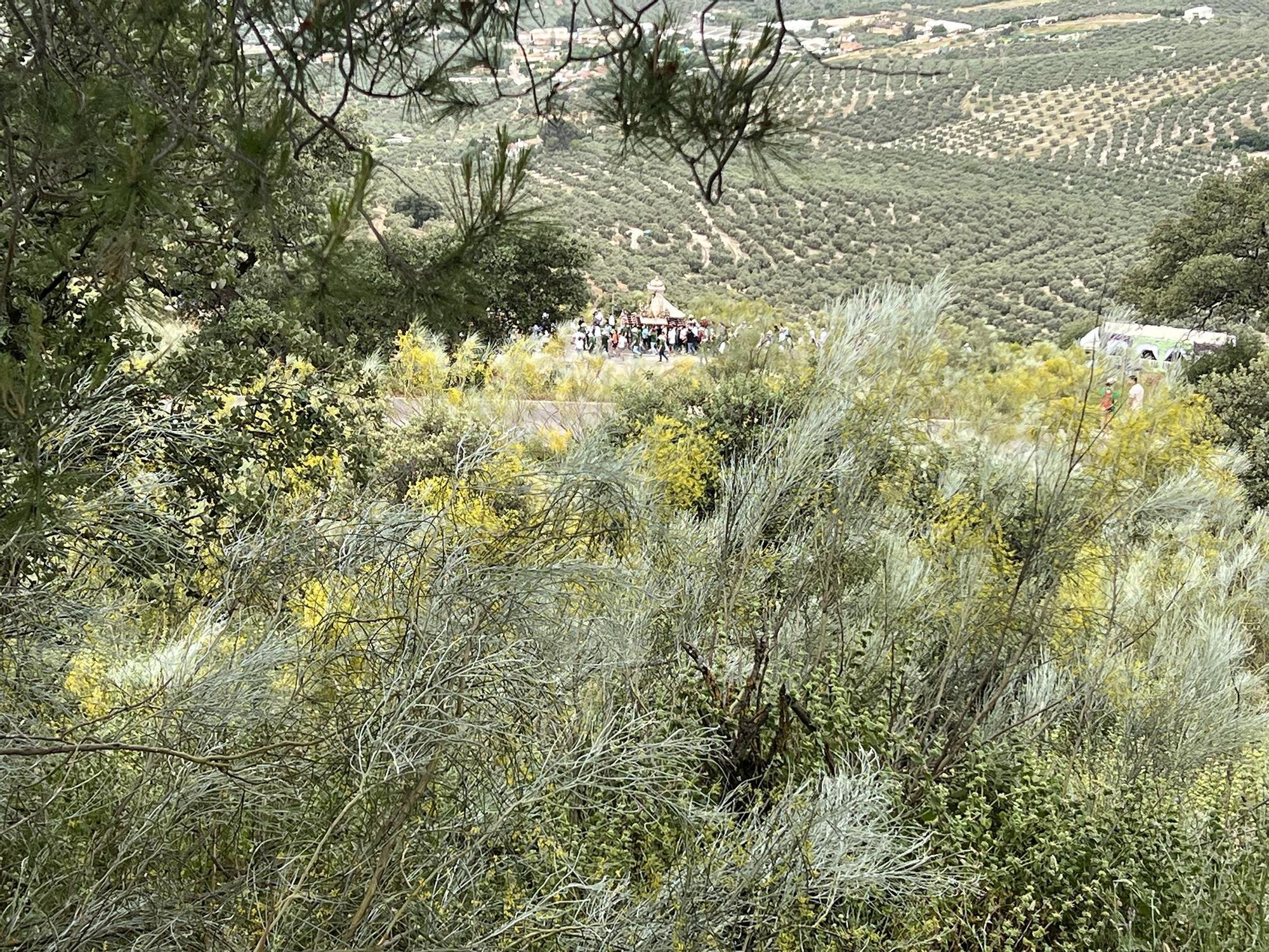 La Virgen de Araceli de Lucena regresa a su Santuario en la Romería de Subida
