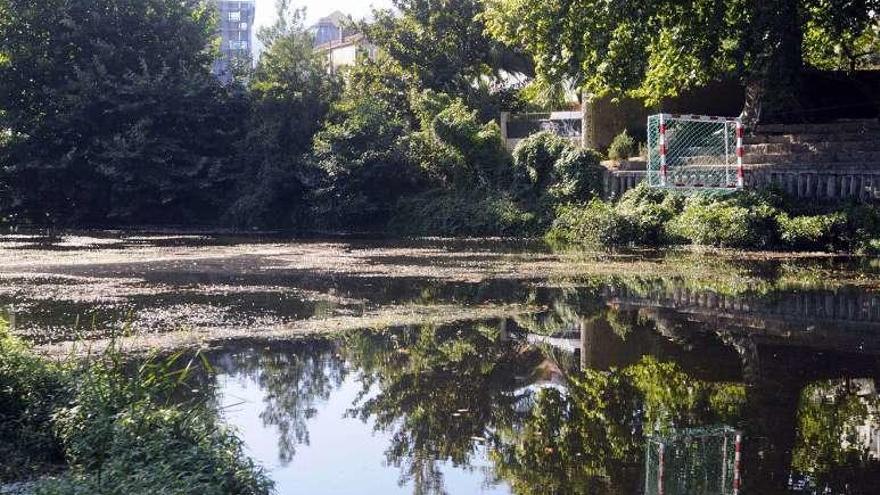 Las algas invasivas del Umia en el Malecón de Caldas. // Noé Parga