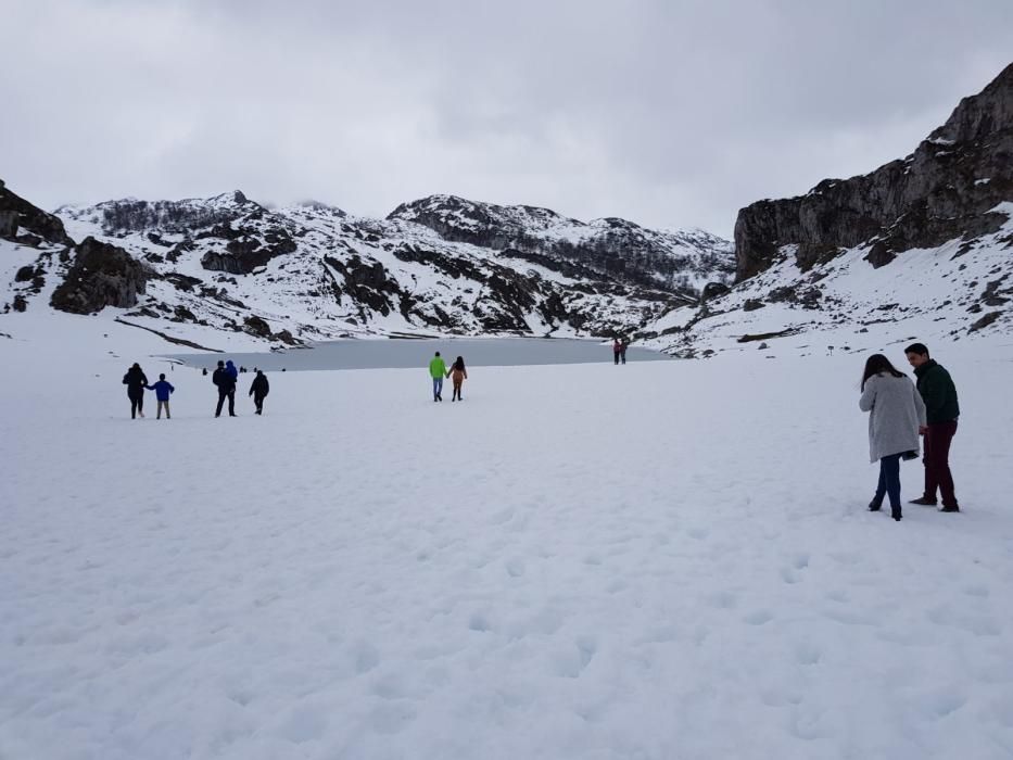 Tras el temporal, decenas de familias acuden a los Lagos de Covadonga a disfrutar de la nieve.