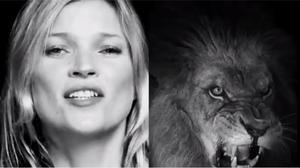 Kate Moss somia amb Stella McCartney en la seva nova campanya per a la pròxima tardor-hivern 2014-2015.