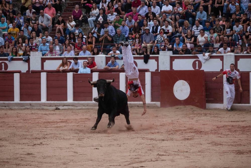 Concurso de cortes San Pedro