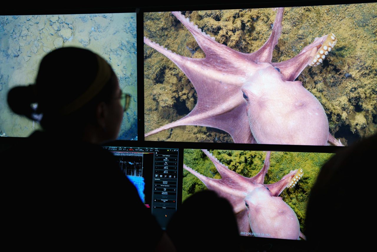 Equipo científico a bordo del “Falkor too”