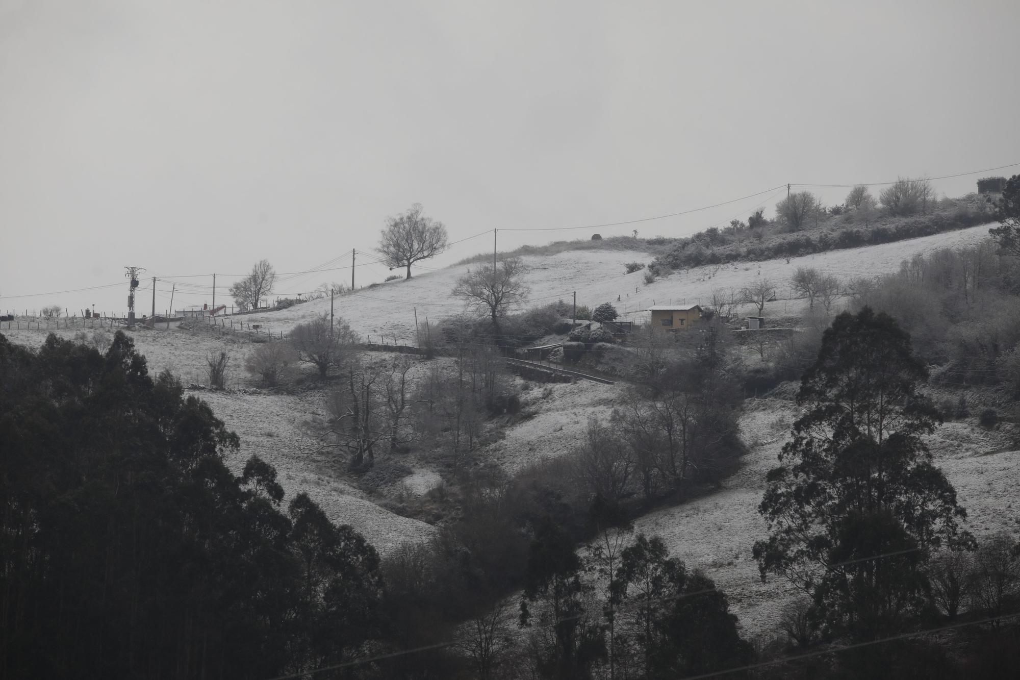 En imágenes: La borrasca Juliette llena de nieve parte de la zona rural de Gijón