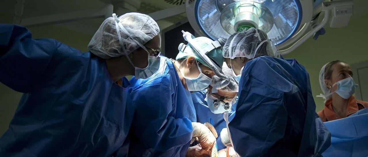 Equipo de cirujanos durante un trasplante en quirófano en una imagen de archivo. | EFE