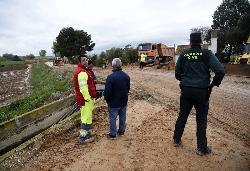 Impresionantes imágenes de la crecida del rio en Gelsa, Pinta y Quinto de Ebro