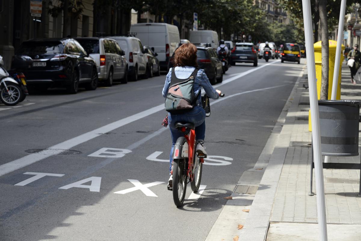 Una bici sube por el carril bus de Gran de Gràcia para evitarse coincidir con los coches en el único carril destinado al vehículo privado