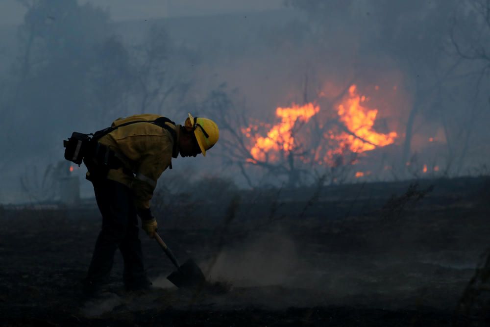 Varios incendios forestales dejan 10 muertos en California