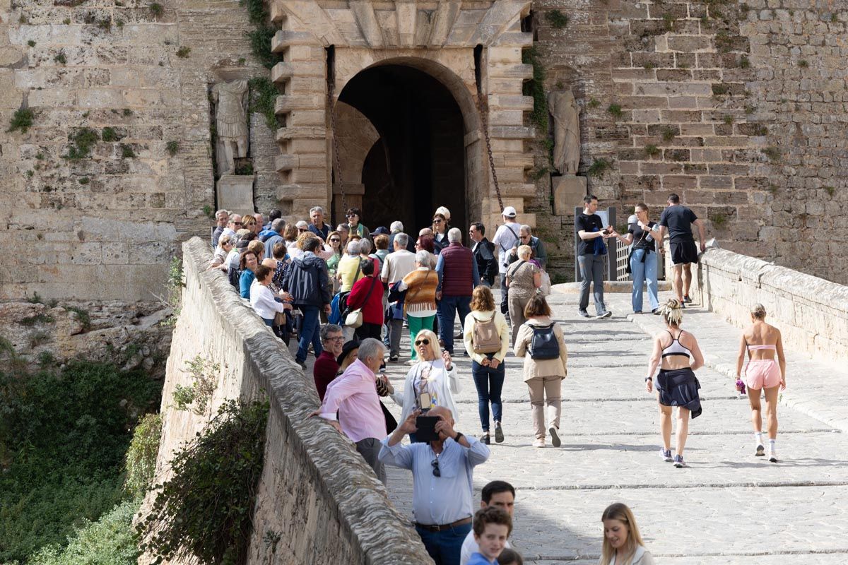 Todas las imágenes de la procesión de la Borriquita de Ibiza
