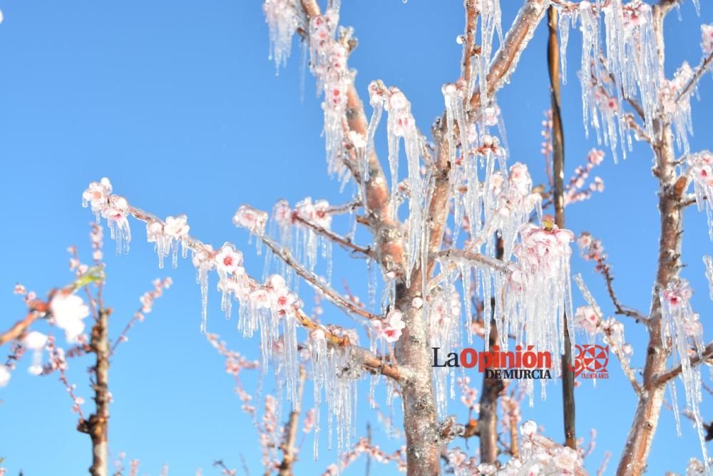 Helada en Cieza 9 de febrero de 2018