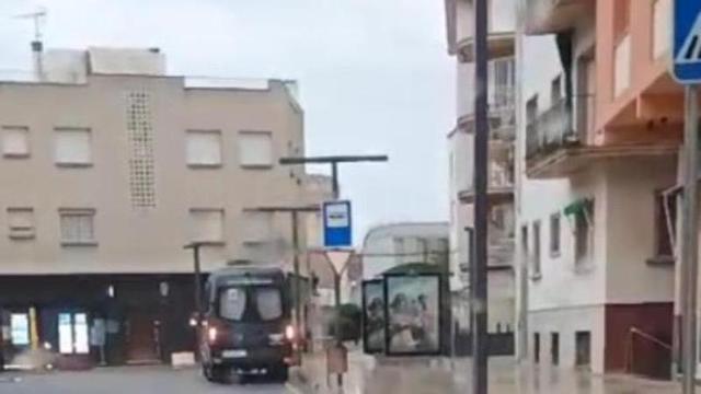 L'animal per l'avinguda Juli Garreta.