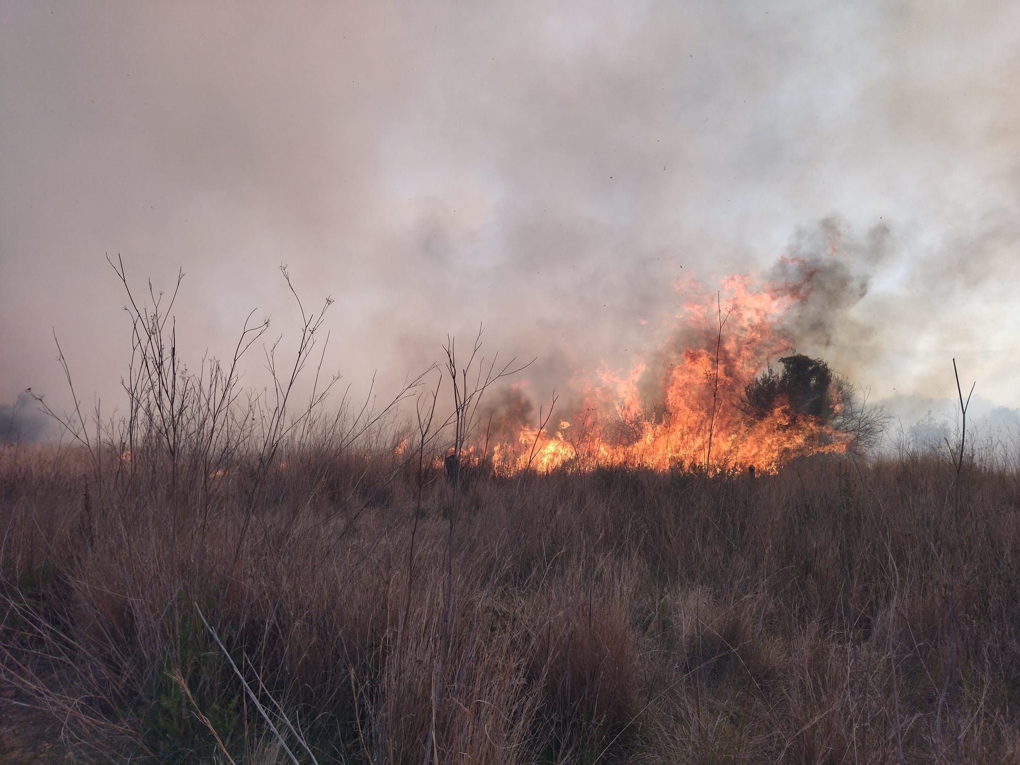 Declarado un incendio en el barranco de la Hiedra en Xàbia, cerca del Montgó