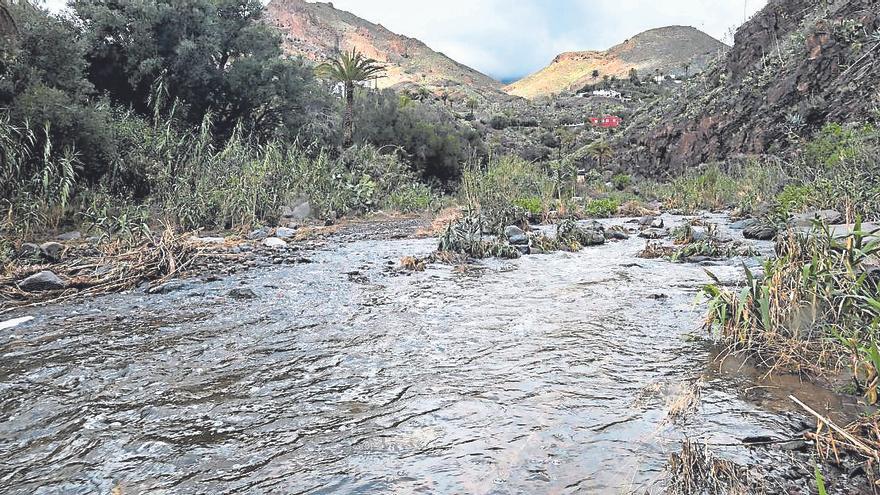 Las precipitaciones benefician al noroeste de Gran Canaria