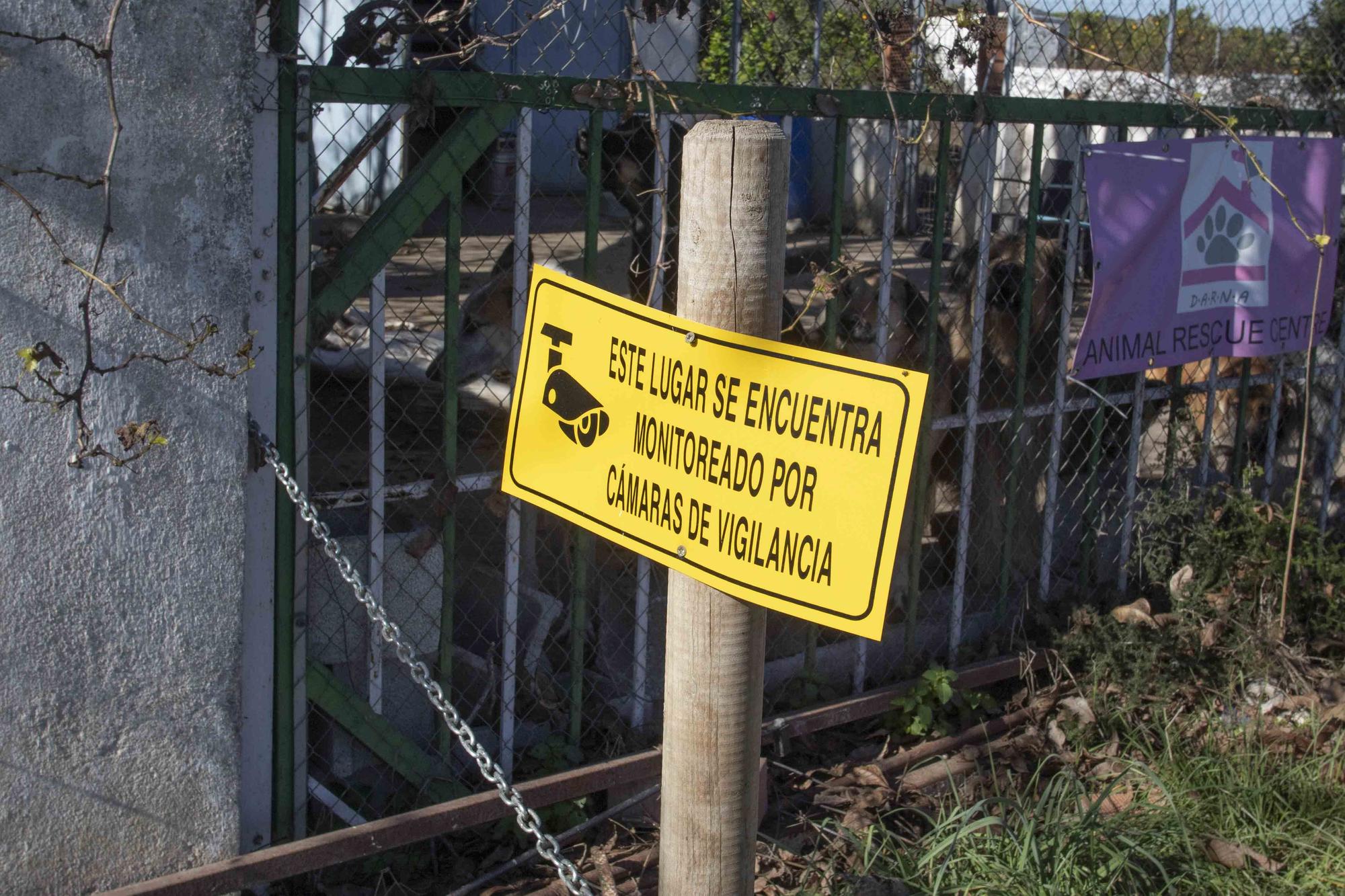 Ordenan la clausura de un santuario animal en Xàtiva