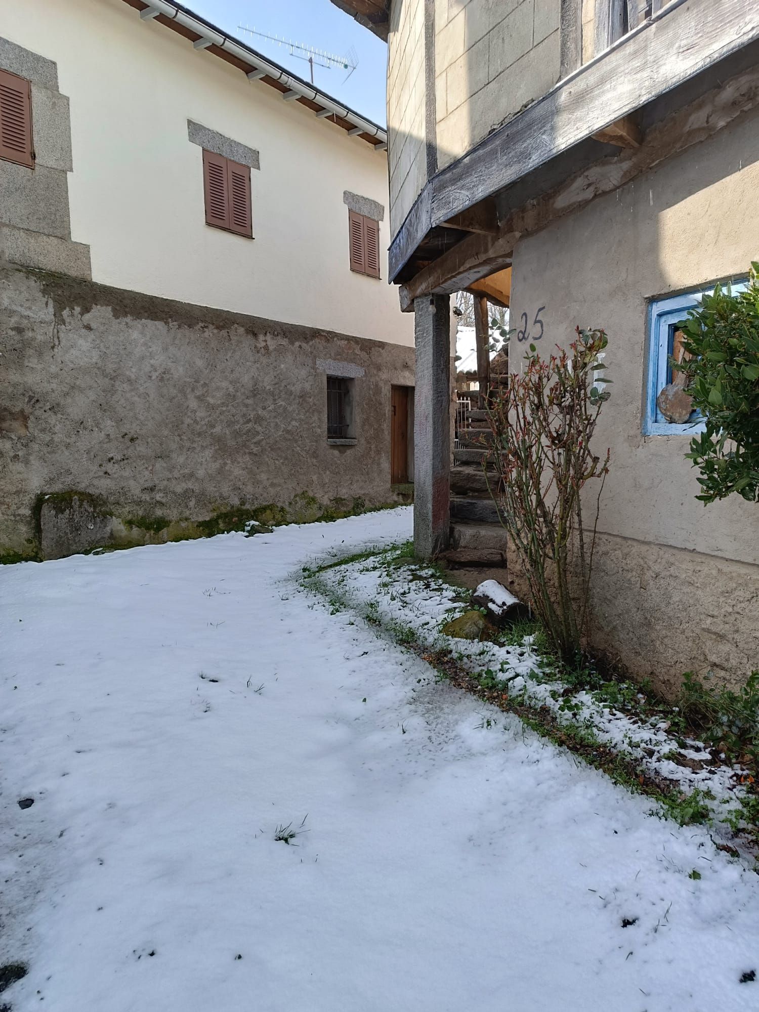 GALERÍA | La nevada de este sábado en Sanabria