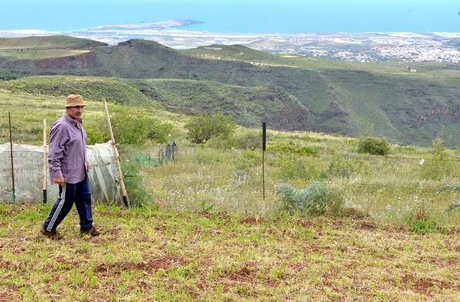 Pepe Guedes, agricultor orgánico