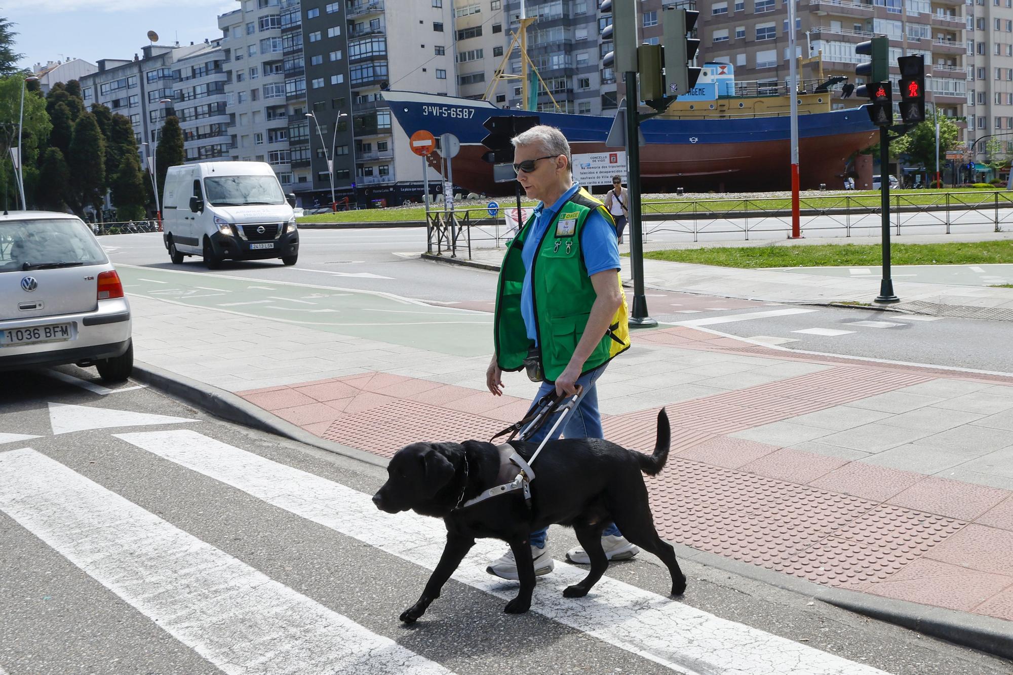 El oficio del perro Topi: guiar a su dueño invidente