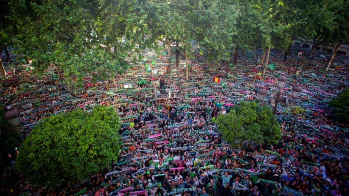 Los aficionados del Betis festejan la Copa del Rey conquistada ante el Valencia.