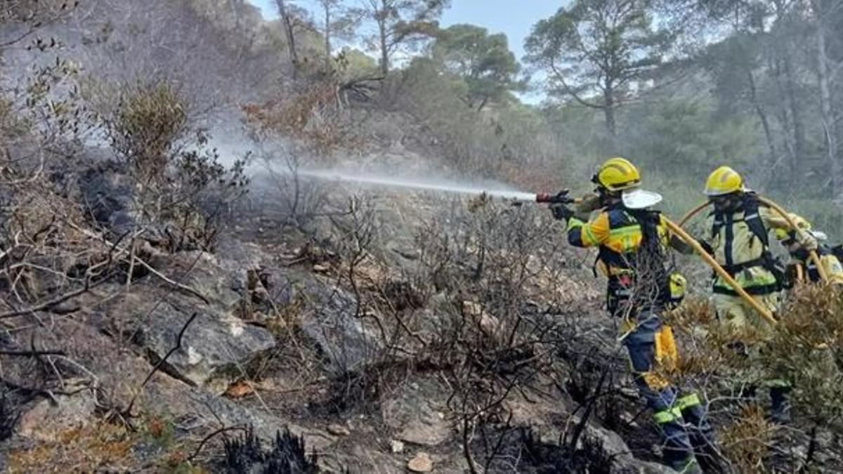 Die Einsatzkräfte des balearischen Umweltministeriums beim Brand in Costa dels Pins.