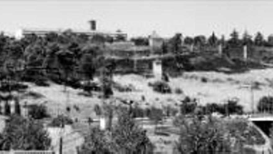 Parques y Jardines despejará de árboles el cerro de la Muela para liberar la Alcazaba