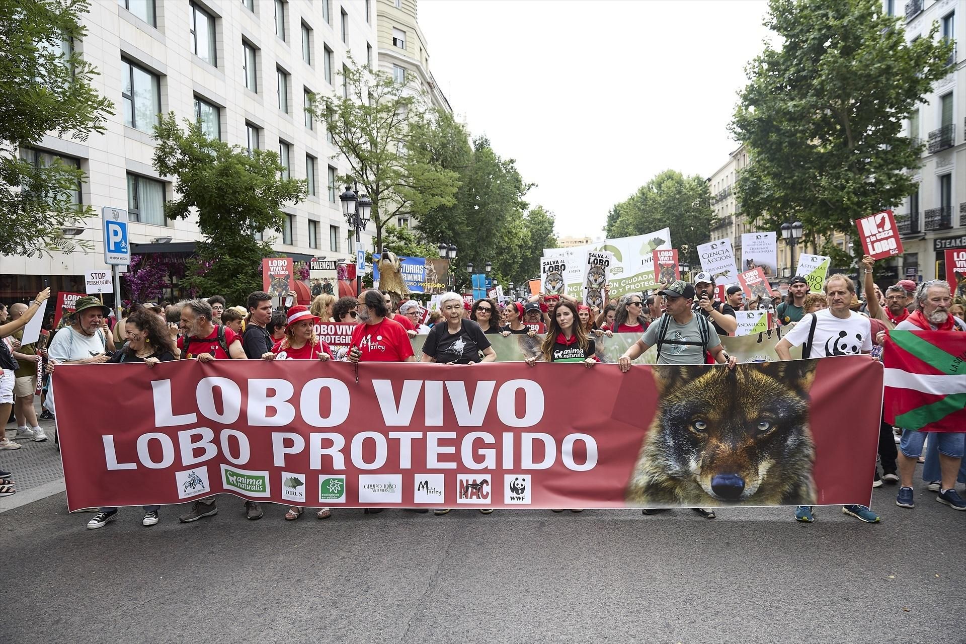 Las imágenes de la manifestación en Madrid por el lobo