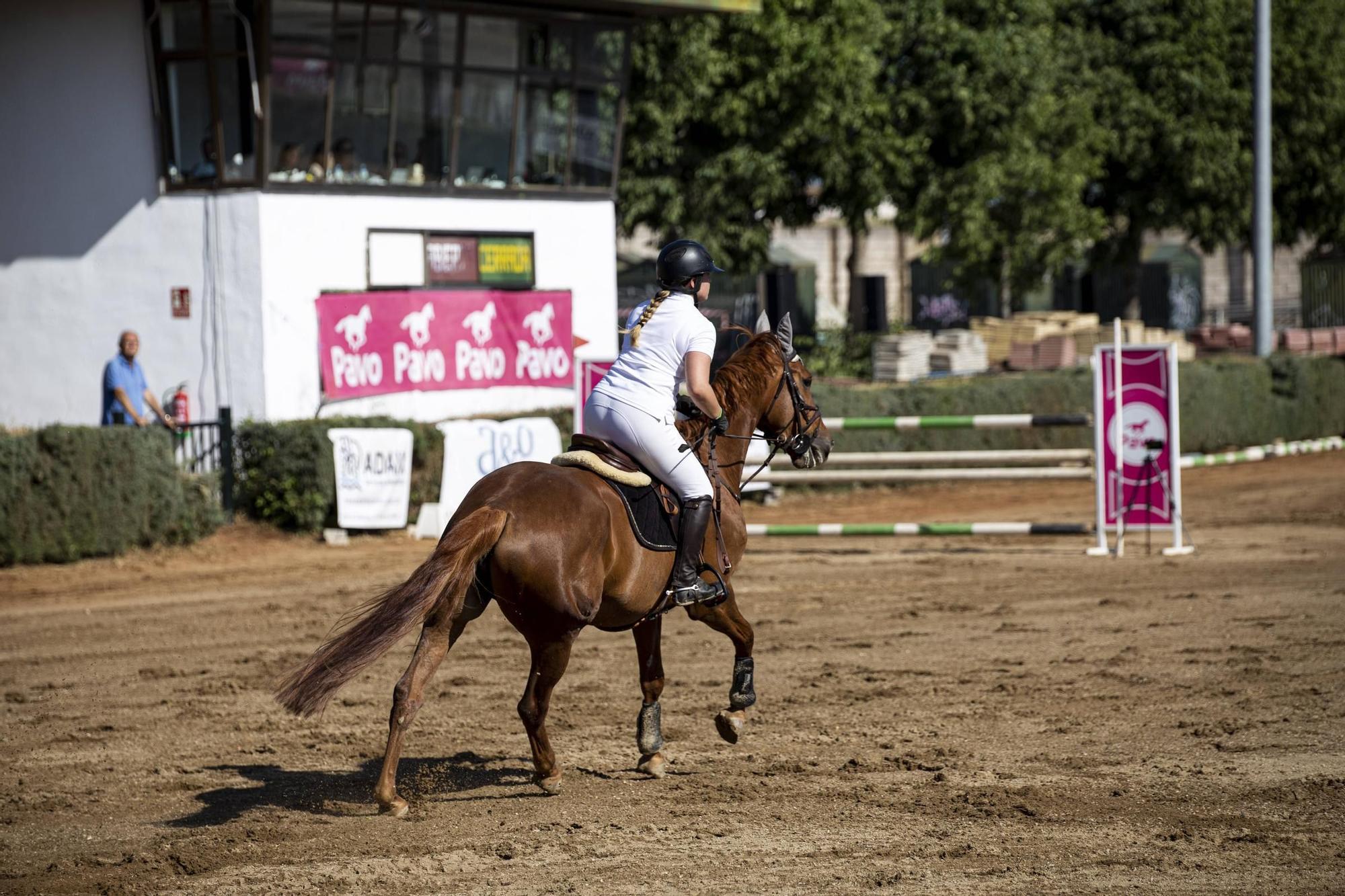 Participantes en la primera jornada del concurso nacional de saltos